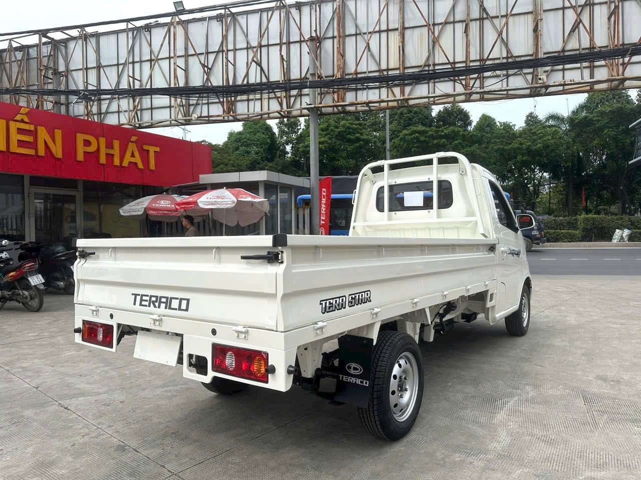star-lung-1-1.jpg