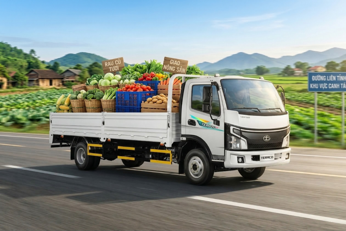 Xe Tải Tera350 Plus Có Phù Hợp Chở Rau Không? Phân Tích Thực Tế Cho Người Kinh Doanh Nông Sản